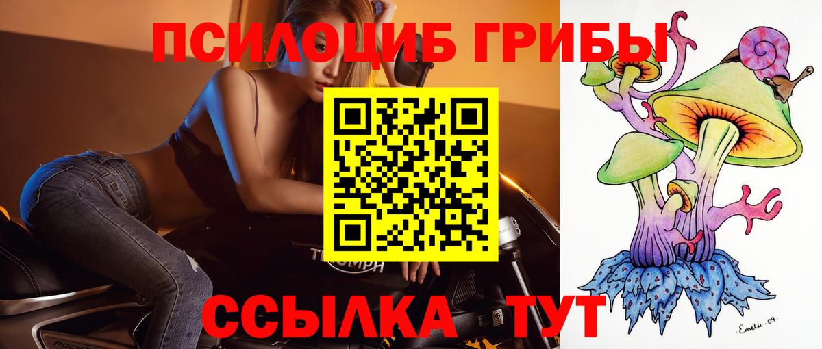 Псилоцибиновые грибы мицелий Верхний Уфалей