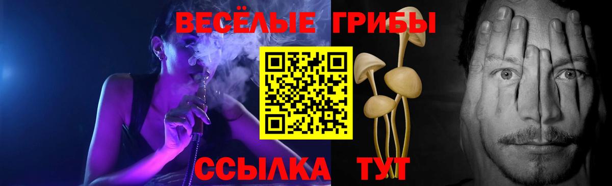Псилоцибиновые грибы Cubensis  Вход с VPN  купить наркотики цена  Верхний Уфалей 